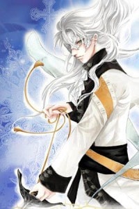 最后一束米迦勒雏菊