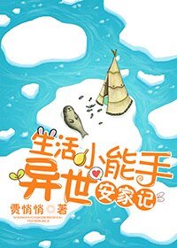 生活小能手异世安家记