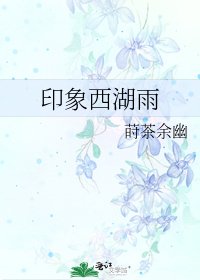 印象西湖雨