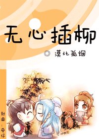 无心插柳（杀破狼之贪狼）