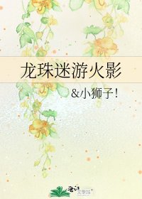 龍珠迷遊火影