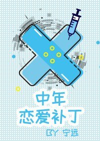 中年戀愛補丁